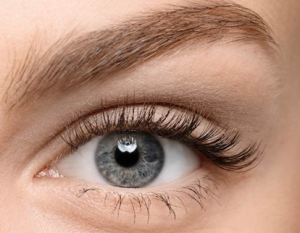 OUR SERVICES 10 Blepharoplasty Dr Guna Plastic Surgeon Ipoh